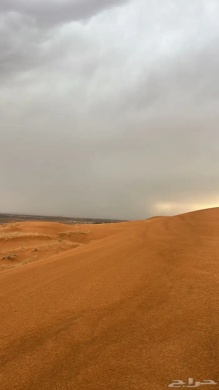 مطلوب ارضين متجاورات حي الخليج المذنب 0