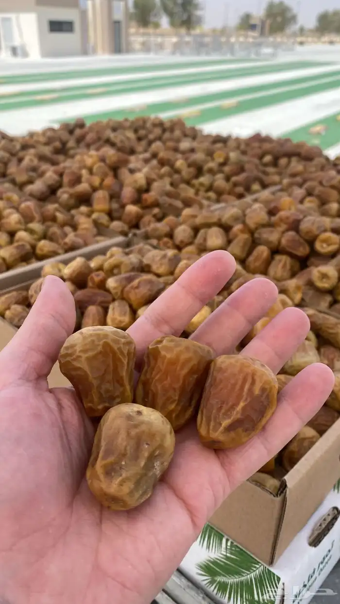تمرر سكري ملكي درجه اوله 0