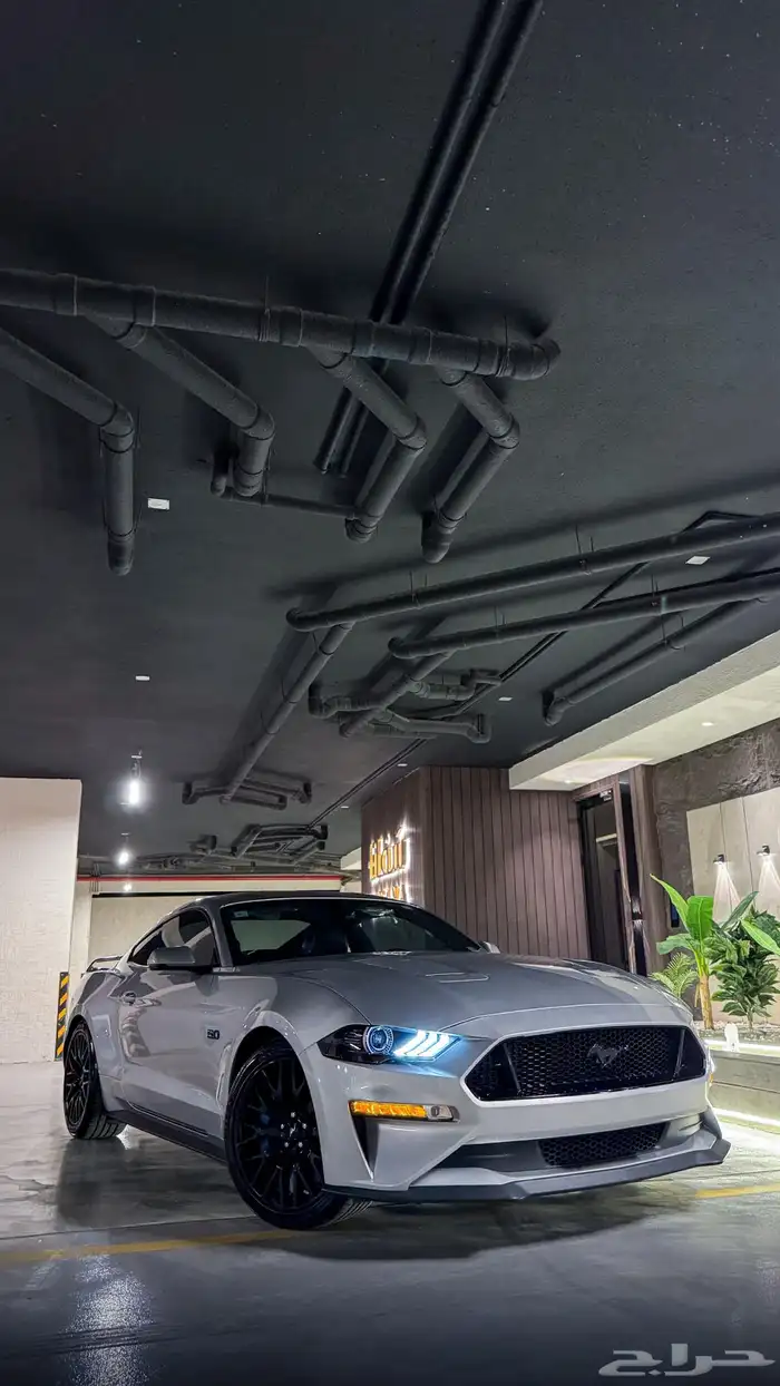 5.0 بيرفورمنس بدي وكاله نضيف 0