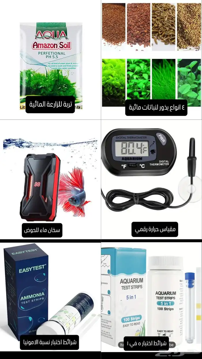 سمك فايتر (بيتا) للبيع بالحوض وجميع المستلزمات 6
