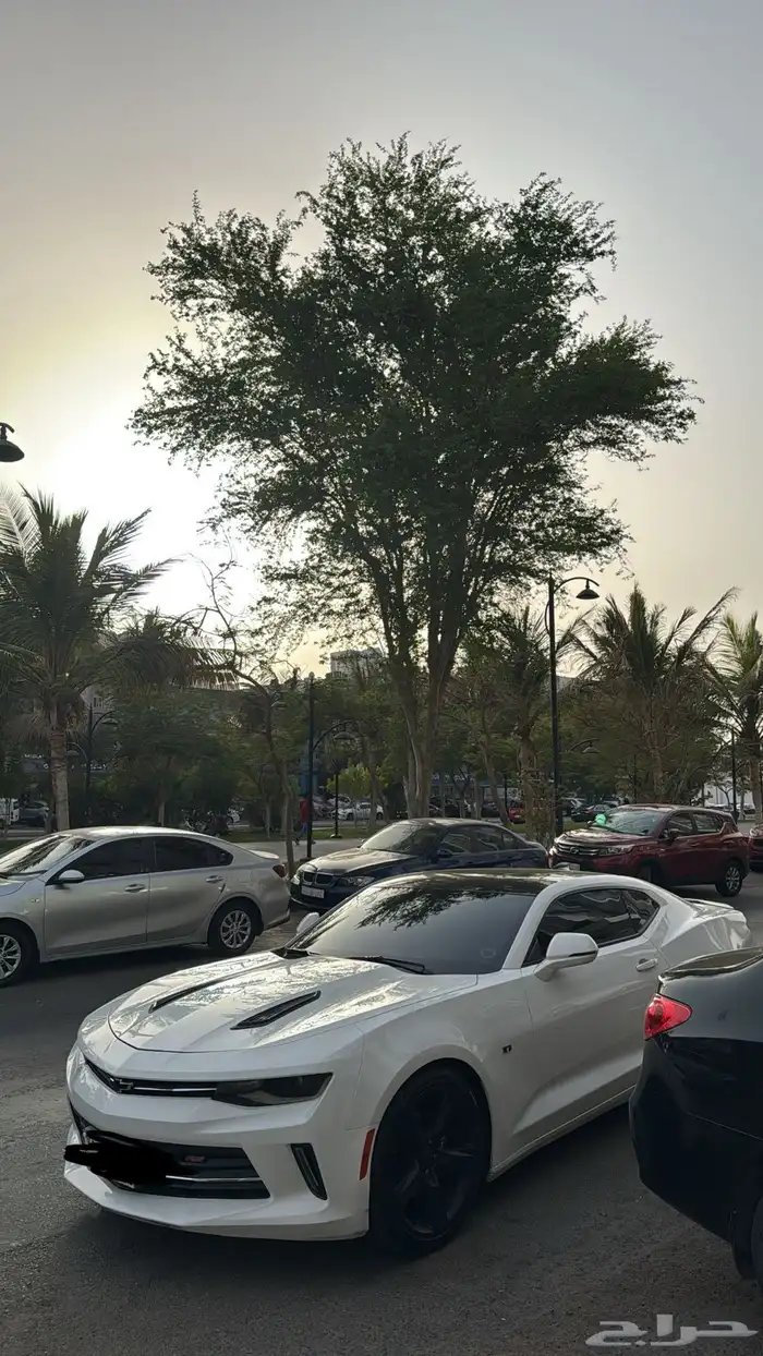 للبيع كمارو وارد خليجي RS 2018 3