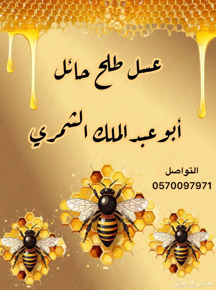 عسل طلح حائل 1