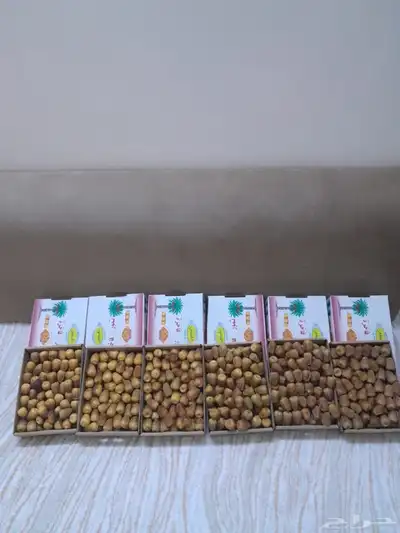 تمر سكري مفتل مزارع اوثال 0