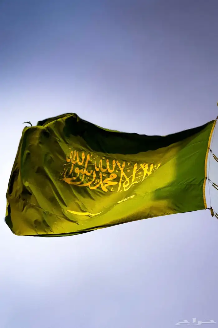 مصور جوال 13