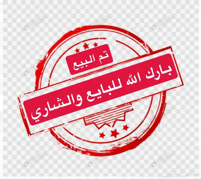 ماعز بلدي 0