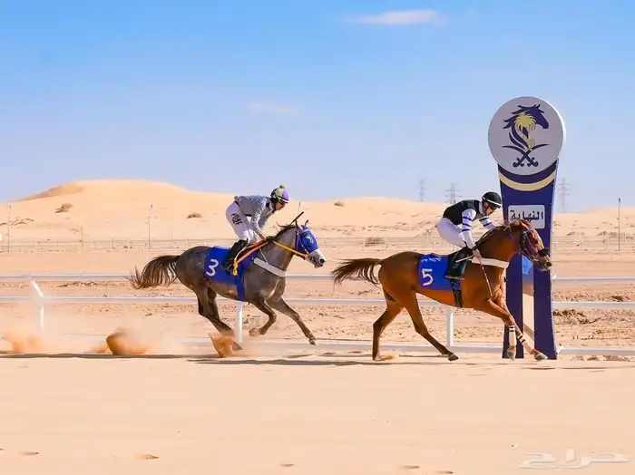 حصان واهو سرعه 2