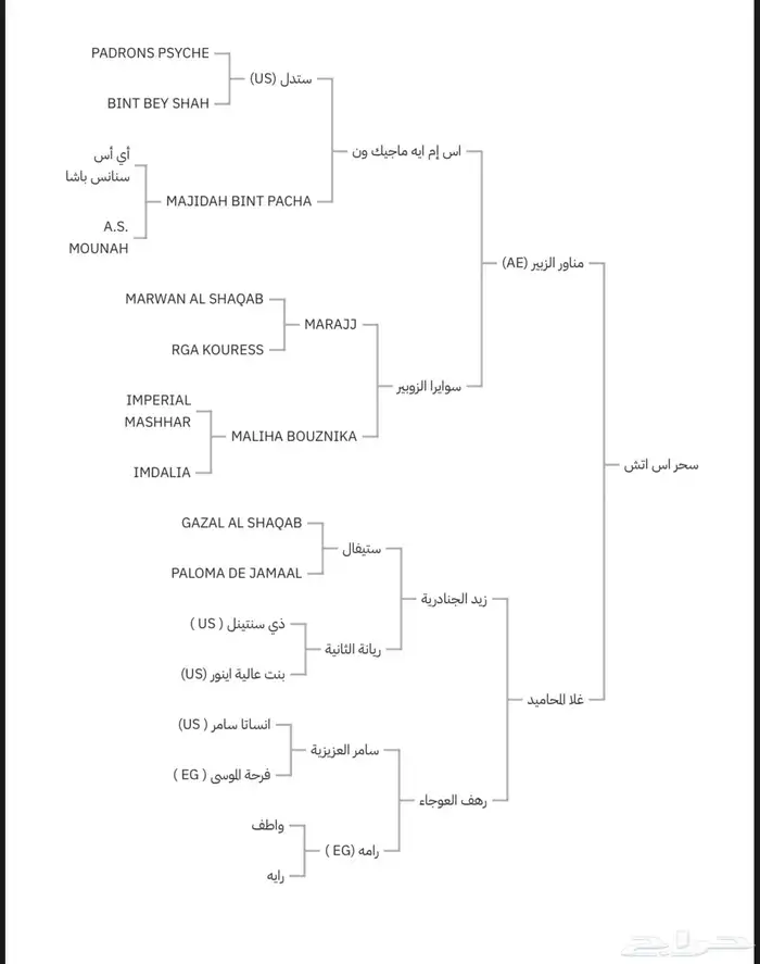 مهره واهو حفيده مروان الشقب 2