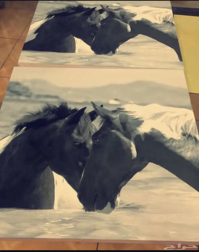 لوحات كانفس 0