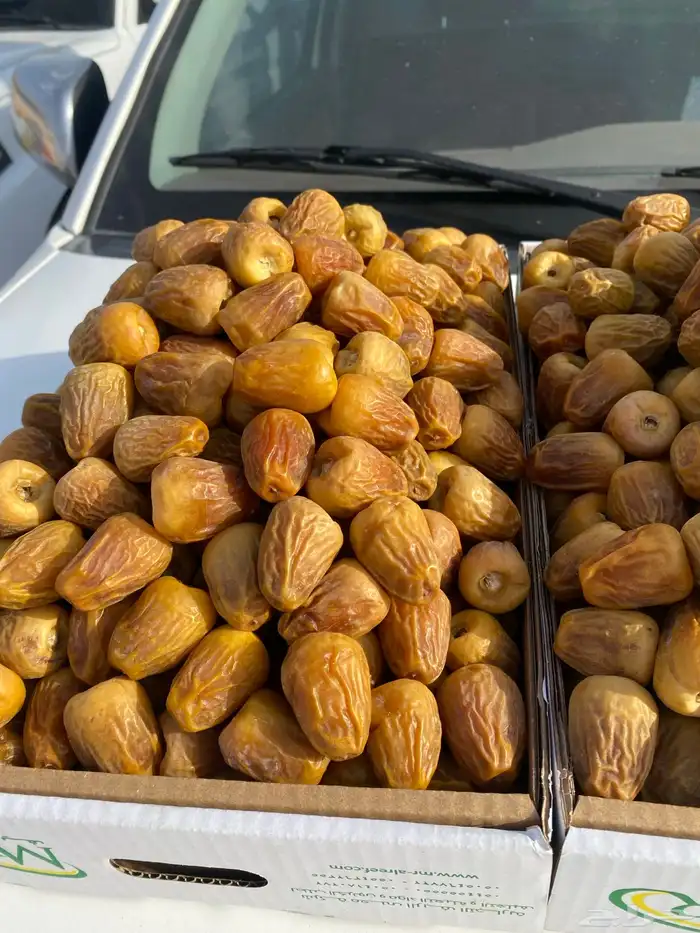 تمر فاخر توصيل جميع مناطق السعوديه 12