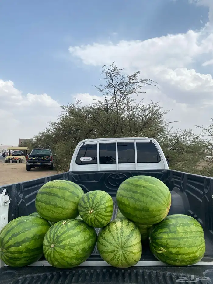 حبحب 0