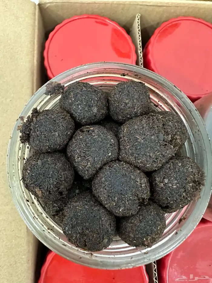 بخور الدواسر 6