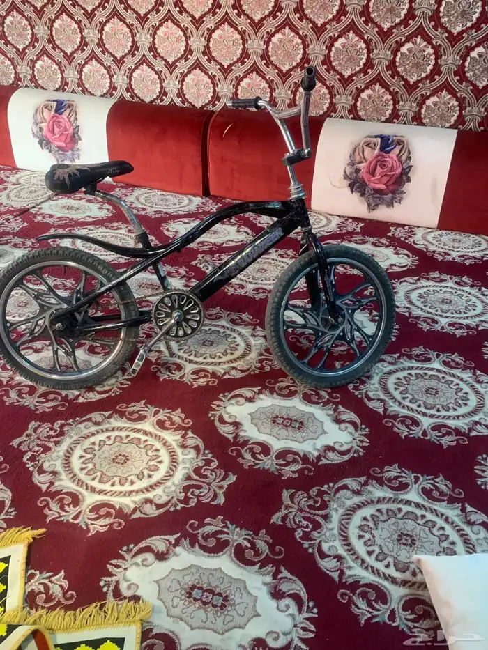 سيكل حجم 20 نظيف جدا حدي فيها 450 0