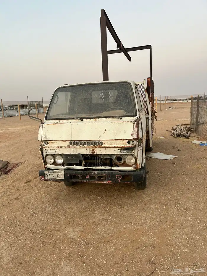 دناء مسقطه اوراقها للبيع 2