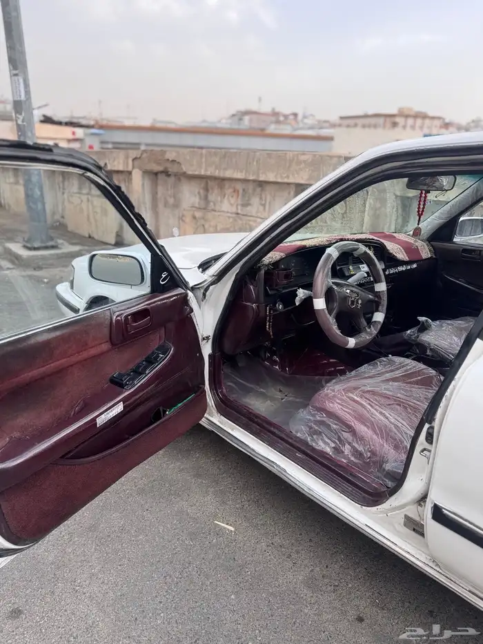 طايف 6