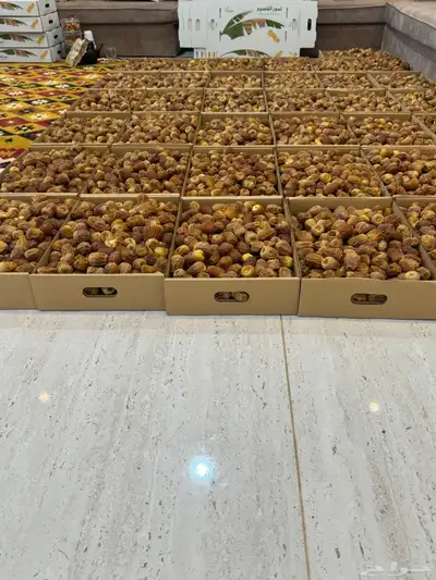 تمر سكري فاخر خراف اليوم 2