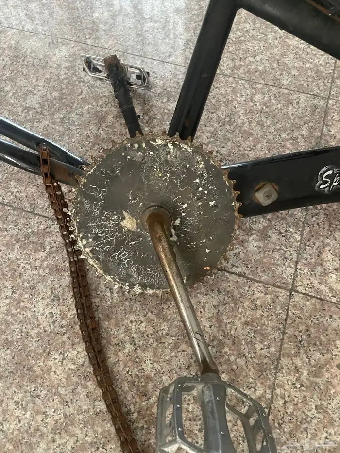 سيكل كوبرا   سيكل فراشه   سيكل رامبو 23