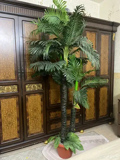 شجرة صناعية زينة و ديكور 0