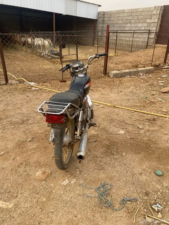 دباب  100 1