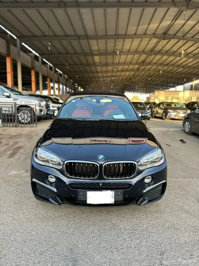 بي ام دبليو X6 2019 0