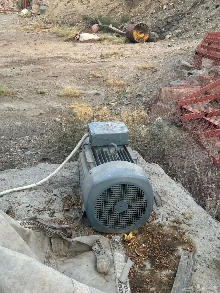 دينمو بير 2