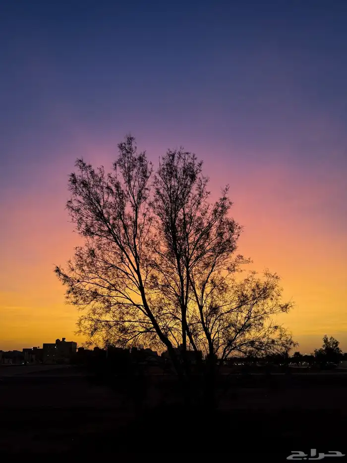 مصور جوال 4