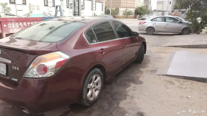 التيما 2010 2