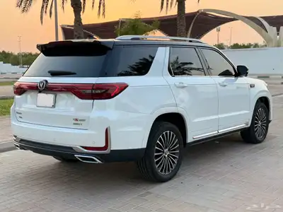 شانجان CS95 2020 ممشا قليل فل الفل رويال 9