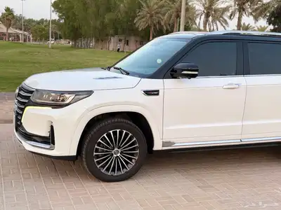 شانجان CS95 2020 ممشا قليل فل الفل رويال 14