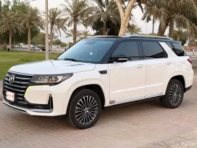 شانجان CS95 2020 ممشا قليل فل الفل رويال 13