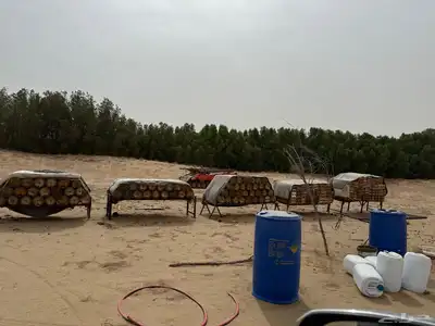 نحل للبيع الموقع القنفذه 9