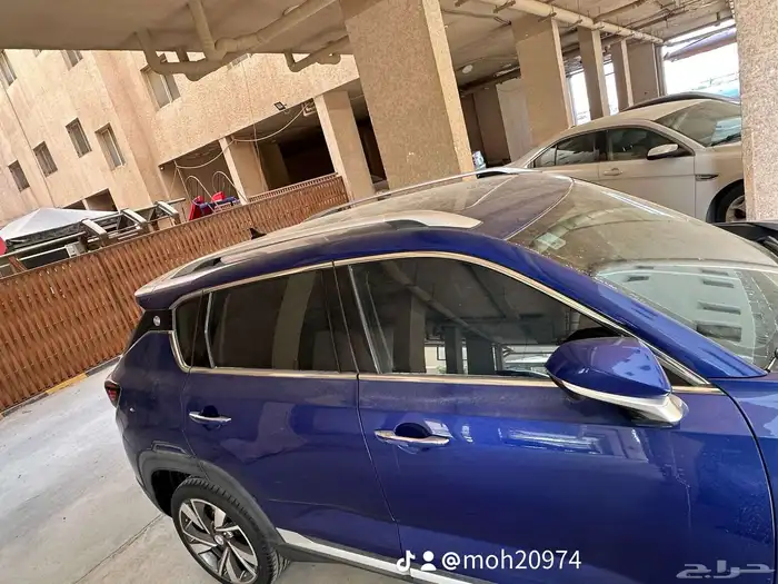 شنجان للبيع 2