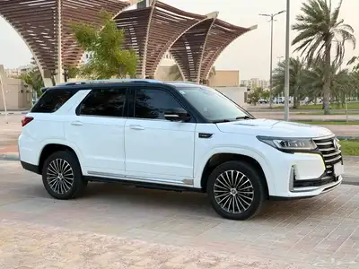 شانجان CS95 2020 ممشا قليل فل الفل رويال 7