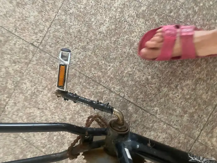 سيكل كوبرا   سيكل فراشه   سيكل رامبو 27