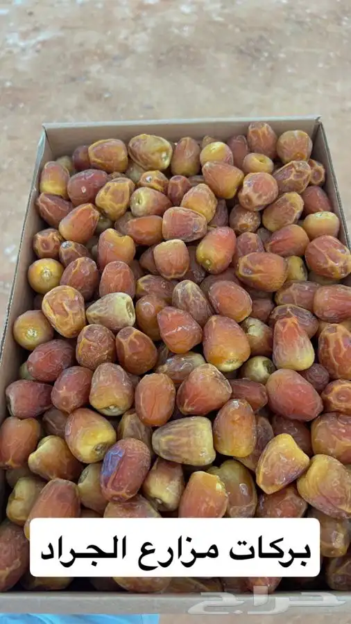 تمور للبيع من المزرعة مباشرة للعميل 3