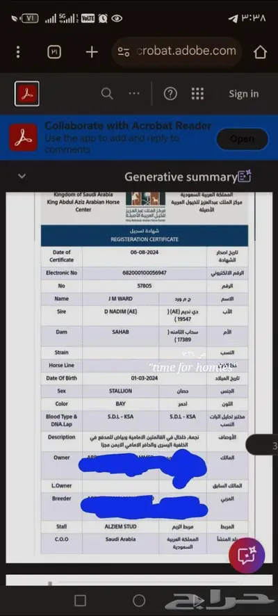 مهر عربي بورق 0