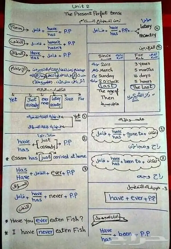 معلمه لغه إنجليزيه 3