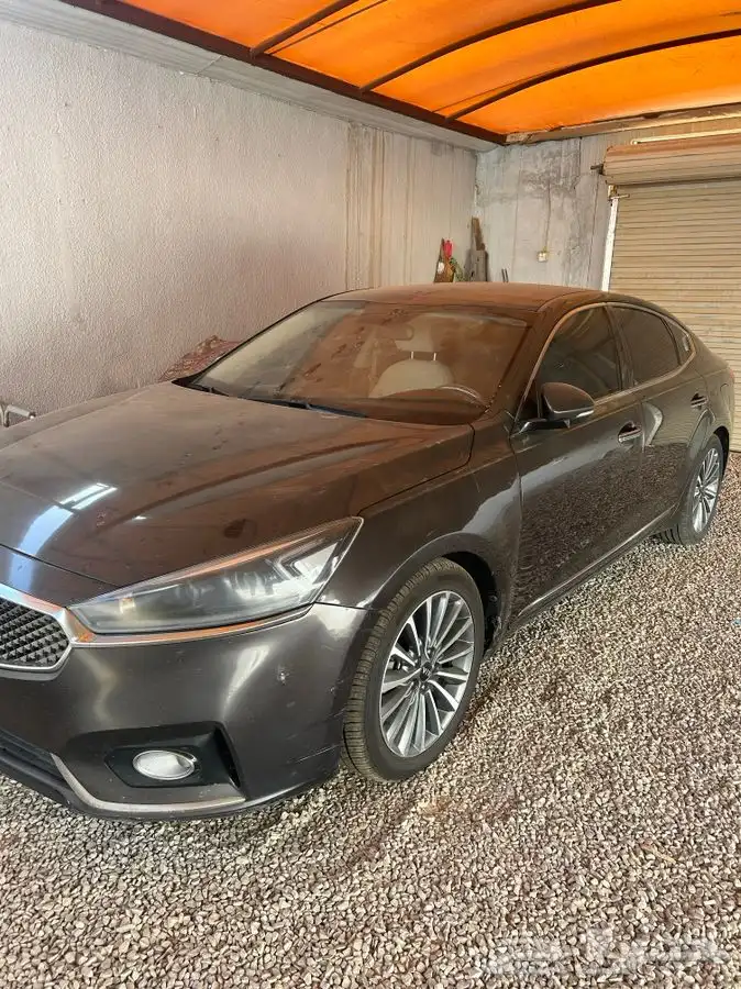 كادينزا 2018 0