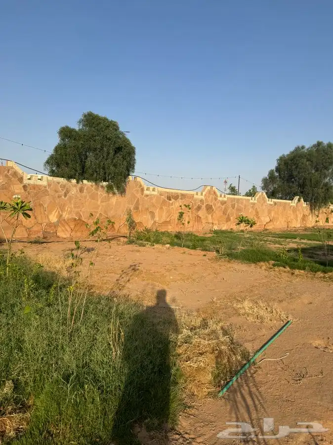 كافي للتنازل 2