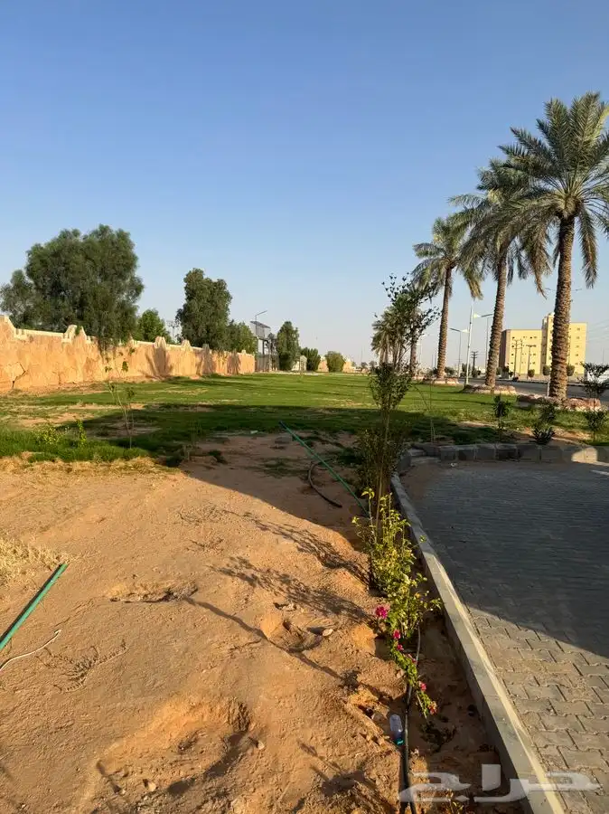 كافي للتنازل 5