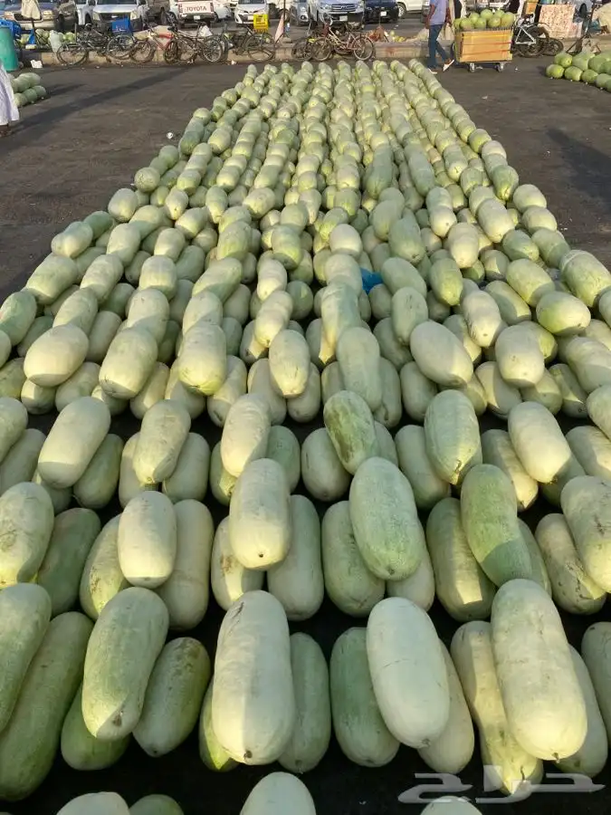 الحبه بريال 0