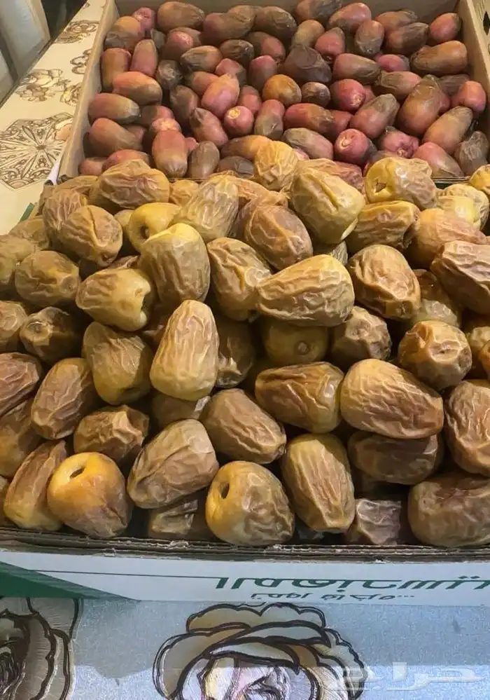 تمر سكري للبيع 1
