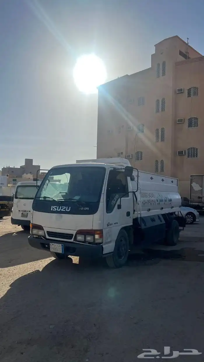 دينا سيزو 1
