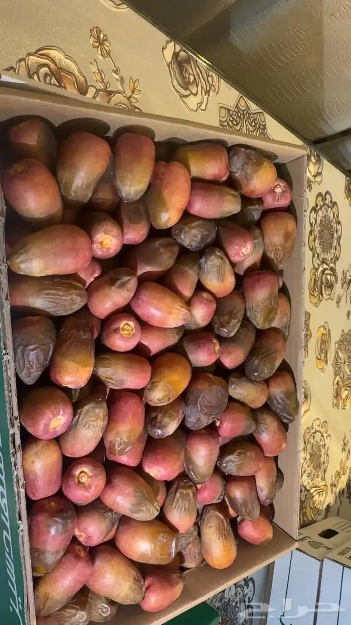 تمر سكري للبيع 4