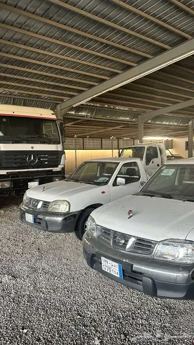 ددسن 2010 2