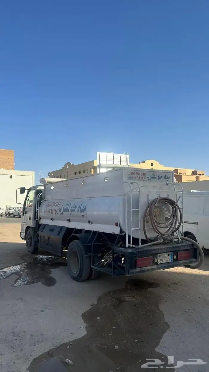 دينا سيزو 0