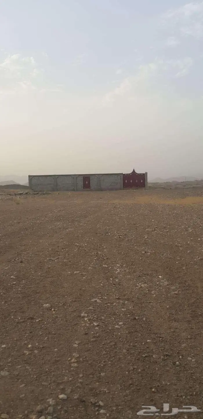 أرض محوشة للبيع مخطط بني زيد رجال المع 1