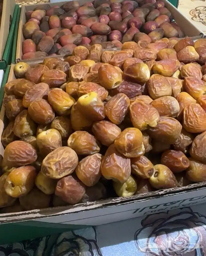 تمر سكري للبيع 2