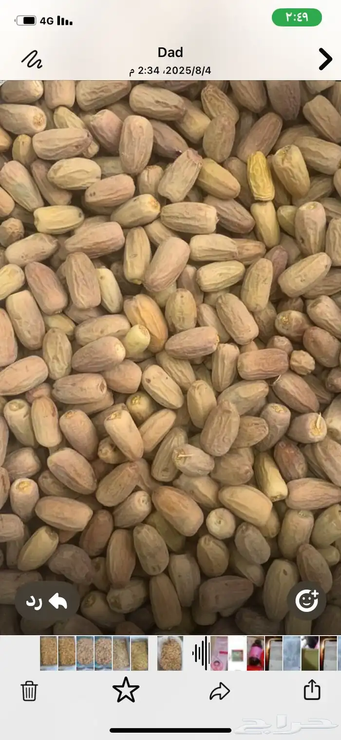 تمر بياض ومواكل عضوي 2