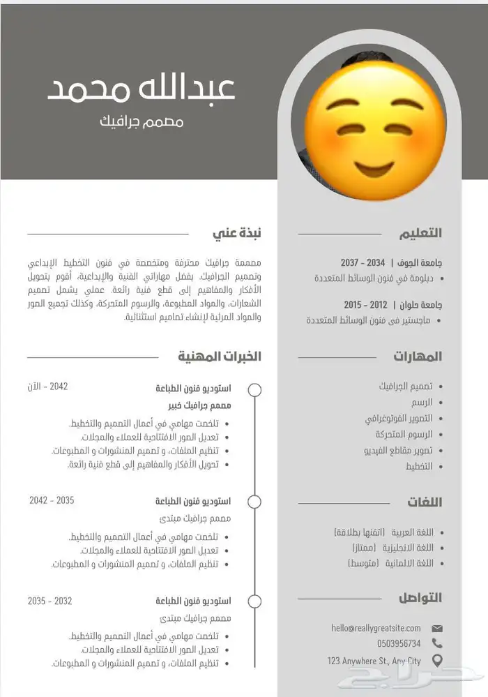 تصميم سيرة ذاتية احترافية 0