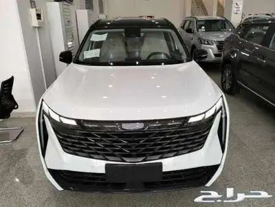 جيلي ستار راي GFبلص 2.0 2024 28